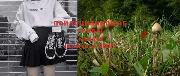 дмт Лиски