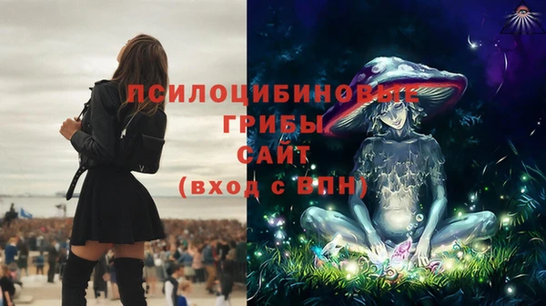дмт Лиски