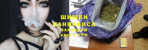 дмт Лиски