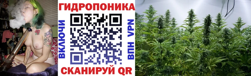 Купить закладки  Малоярославец  Канабис MAZAR 